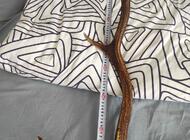 Grajewo ogłoszenia: Sprzedam to co na zdjęciu waga całkowita wszystkich 6,84 kg - zdjęcie